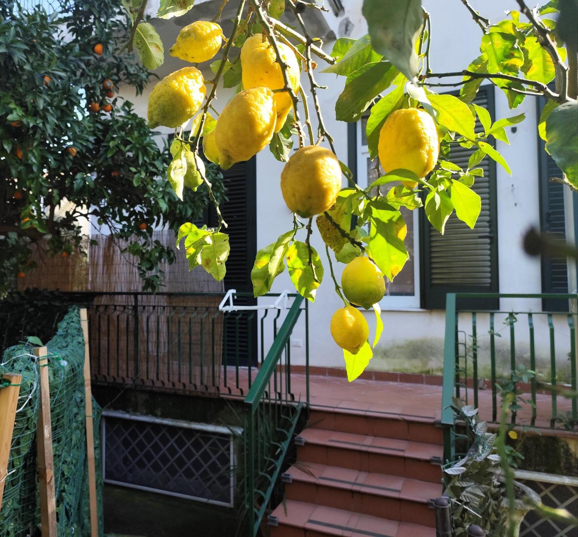 סן אנג'לו Beatrice Room Bed&Breakfast מראה חיצוני תמונה